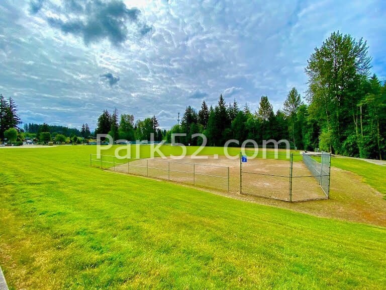 Field