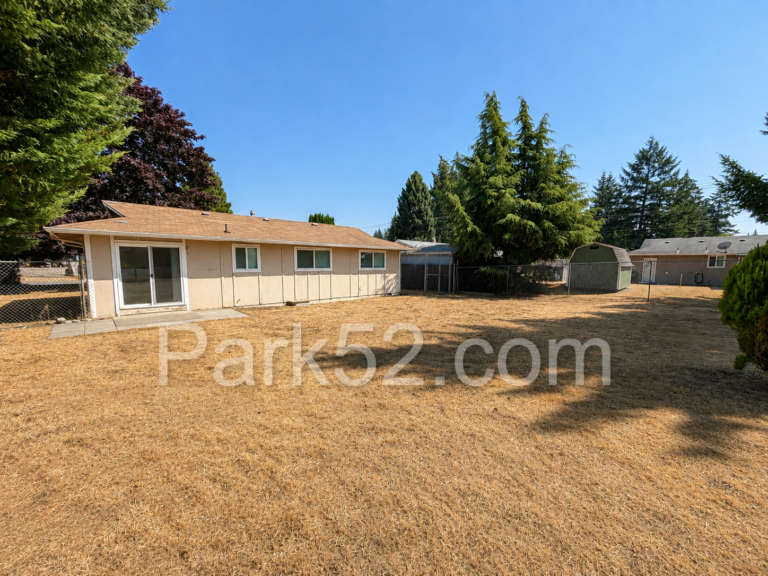 New Backyard Photo Aug 2026